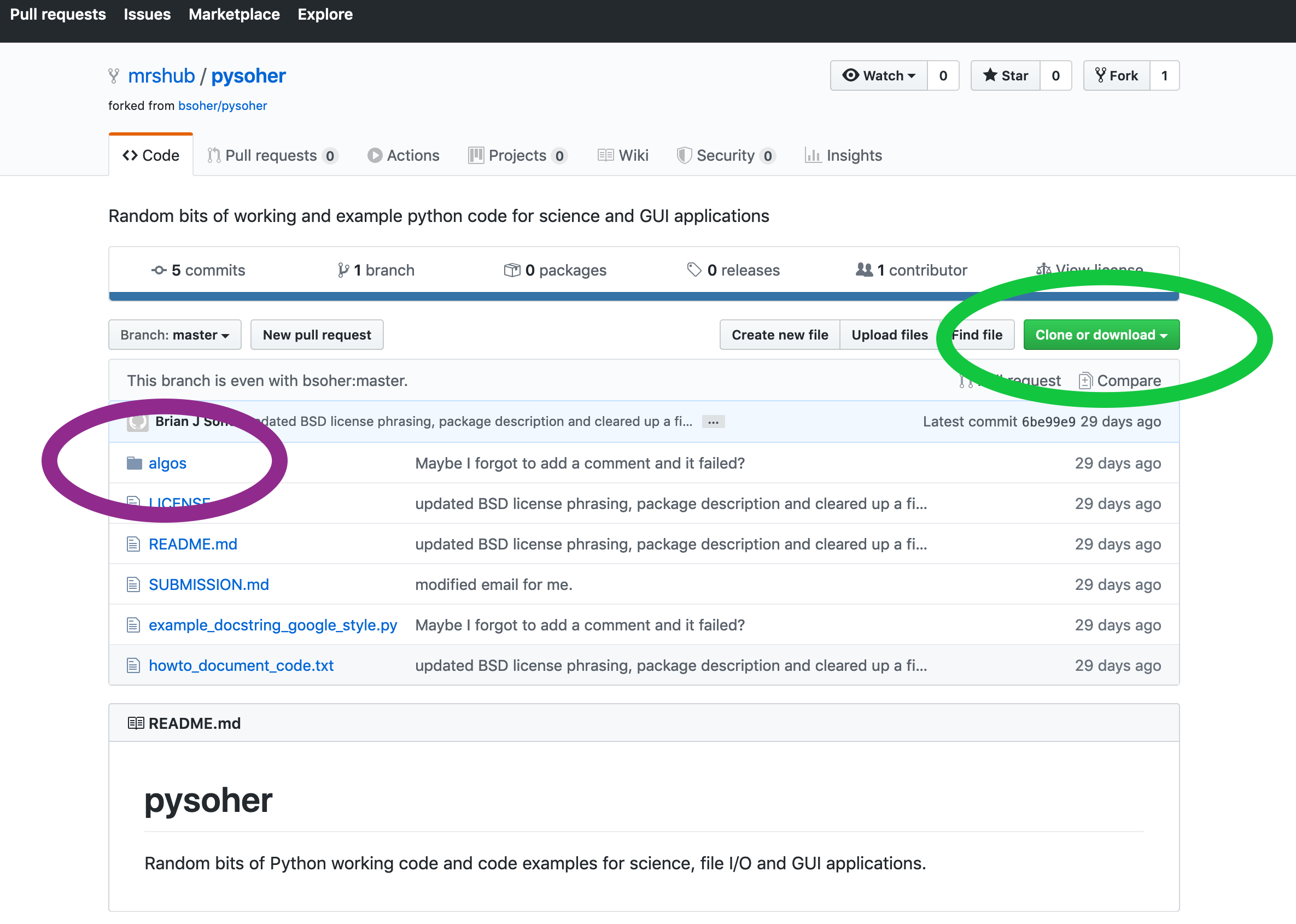 Navigating through and downloading from a GitHub repository
